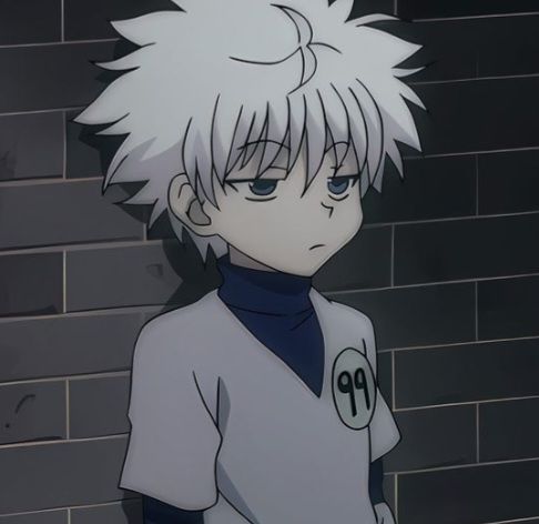 killua assets default